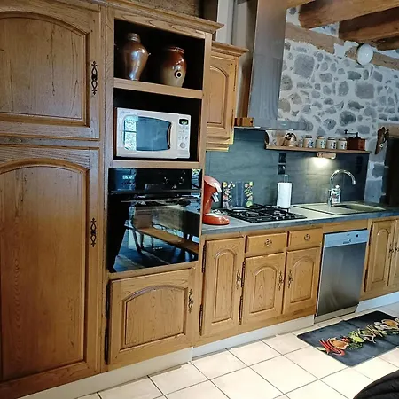 Maison De Caractere Au Pied Du Puy Chavaroche Avec Terrasse, Jardin Et Cheminee - Fr-1-742-237 * Le Fau (Cantal)